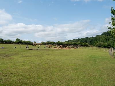 Picture 46